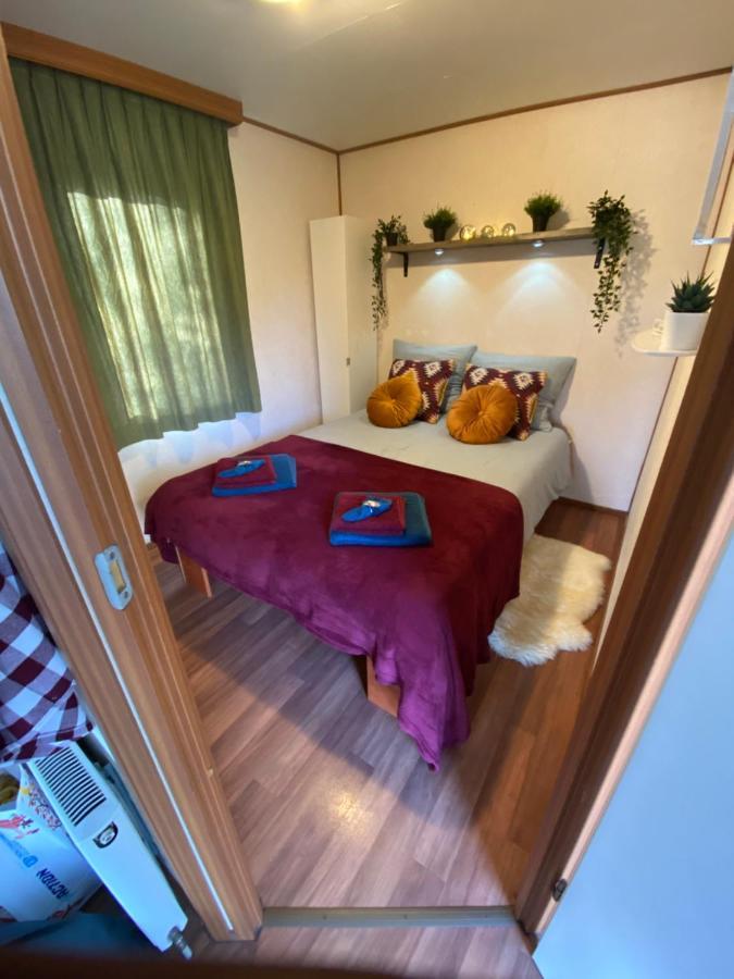 הוילה Anloo Gezellige Chalet In Bosrijke Omgeving מראה חיצוני תמונה